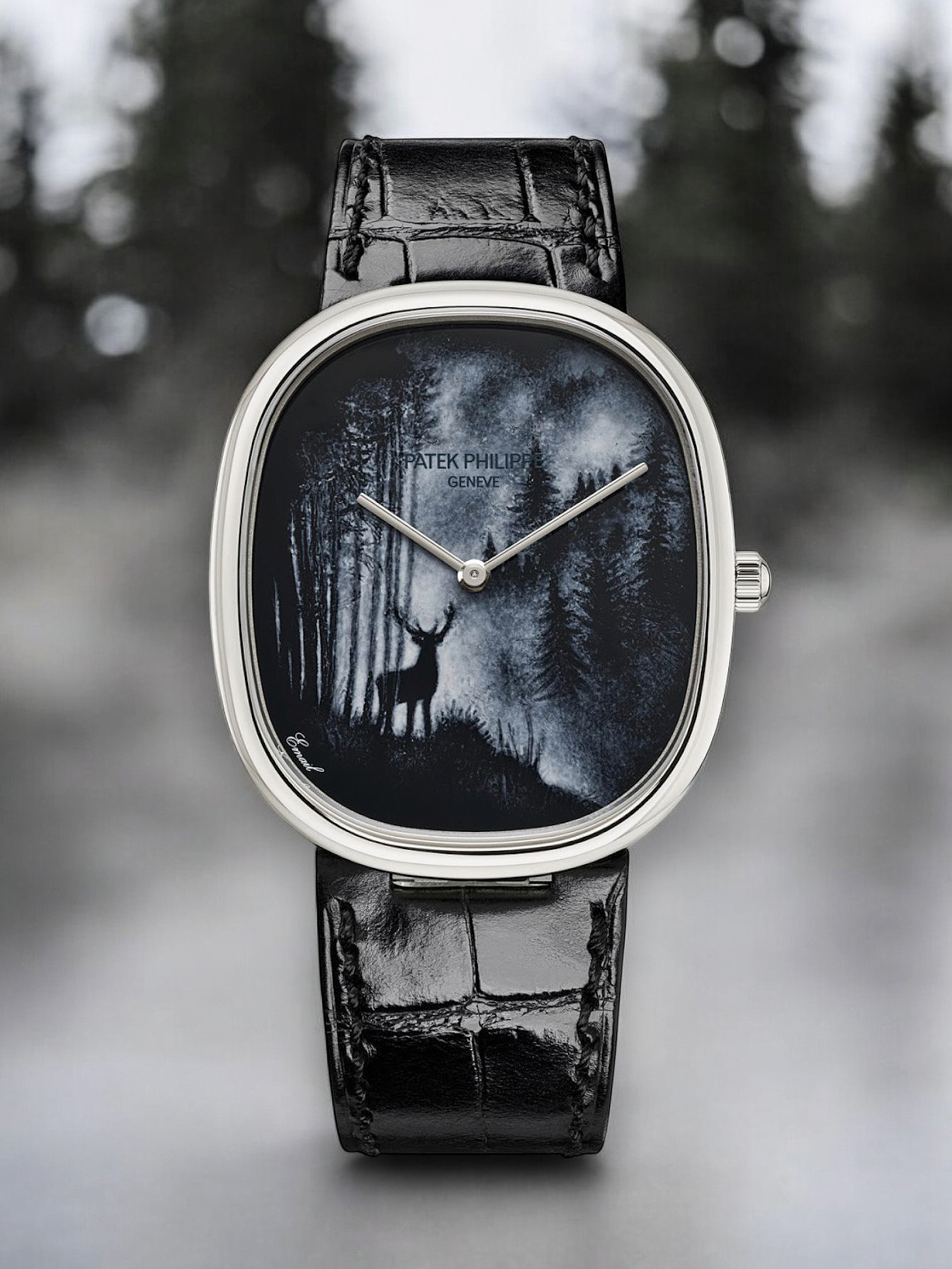 Patek Philippe, Geneva "Rare Handcrafts 2025"