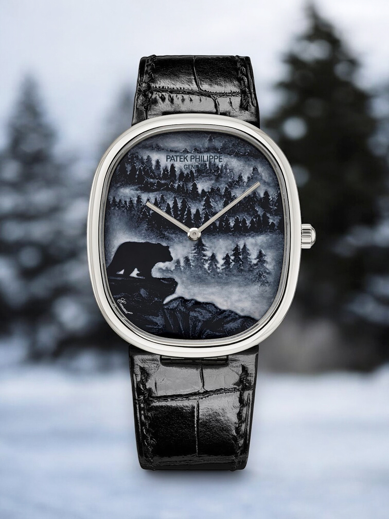 Patek Philippe, Geneva "Rare Handcrafts 2025"