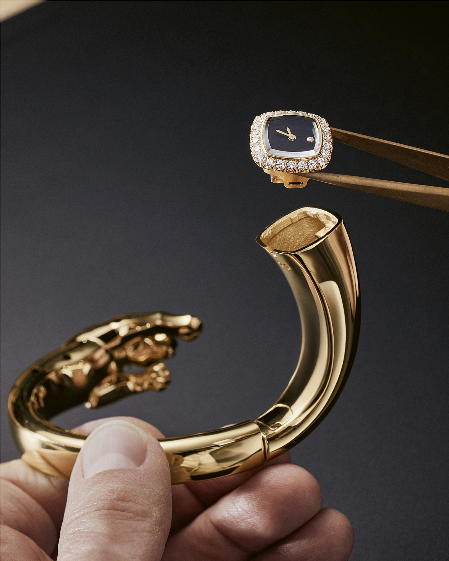 Cartier Panthère Jewellery Watch